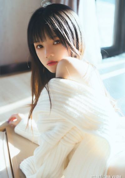 大秦赋电视剧