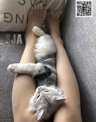 宫雪花版武媚娘