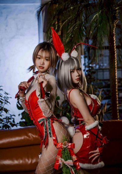山茶花开时
