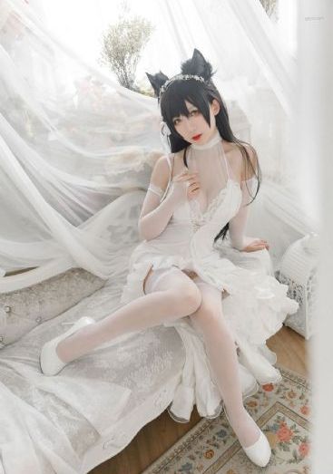庆余年第二季电视剧免费播放