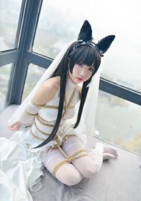 驯服嫂子
