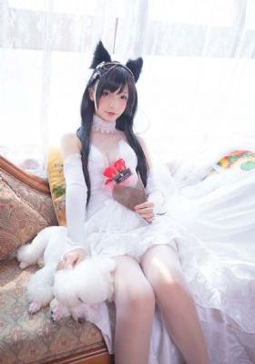 追捕者 电视剧
